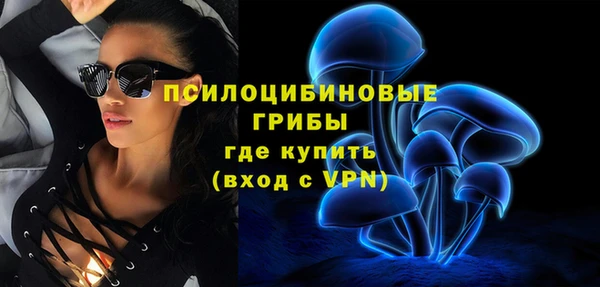 шишки Магадан