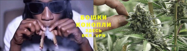 шишки Магадан