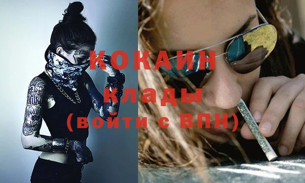 шишки Магадан