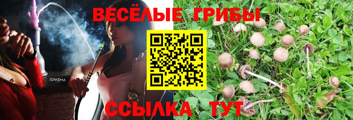 MDMA Нефтекумск