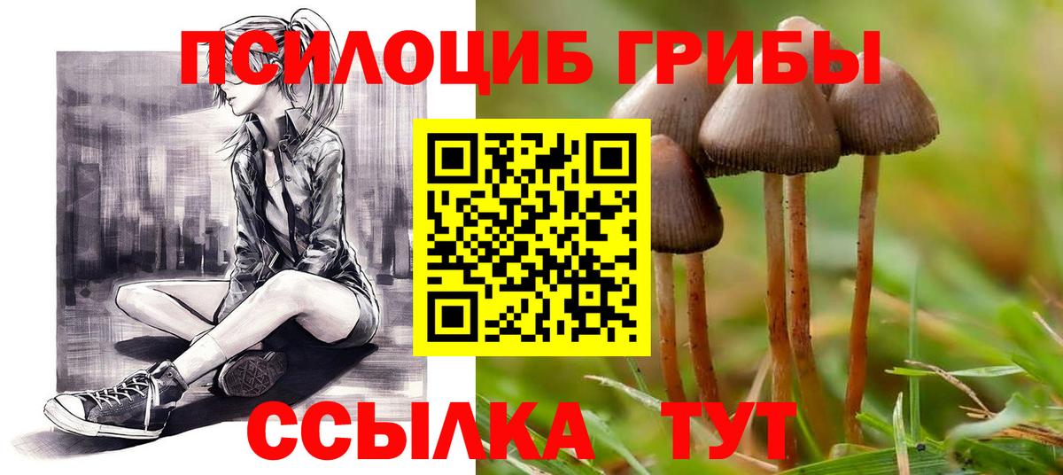 Псилоцибиновые грибы мухоморы  Вход с VPN  Нефтекумск  Псилоцибиновые грибы Cubensis 