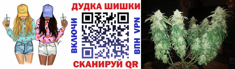сколько стоит  Нефтекумск  Конопля семена 