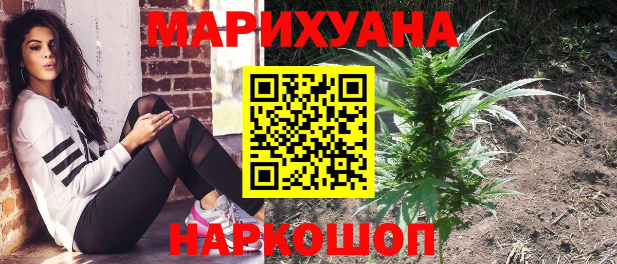 Марихуана планчик  Вход с VPN  Бошки марихуана SATIVA & INDICA  Нефтекумск 